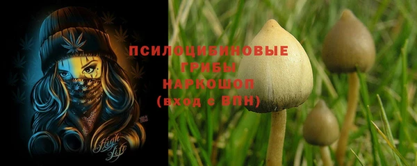 герыч Куйбышев