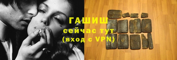 гидра Кодинск