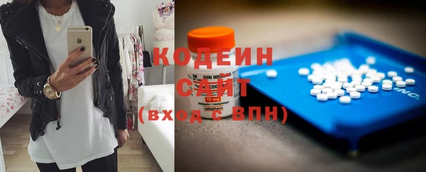 шишки Корсаков