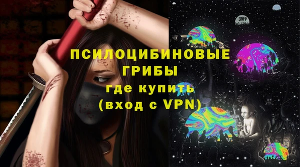 шишки Корсаков