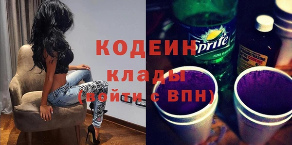 шишки Корсаков
