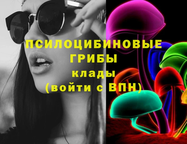 дурь Кондопога