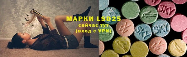 шишки Корсаков