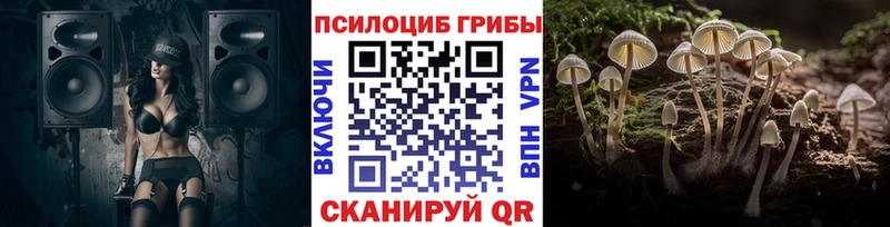 Псилоцибиновые грибы Psilocybe  Называевск 